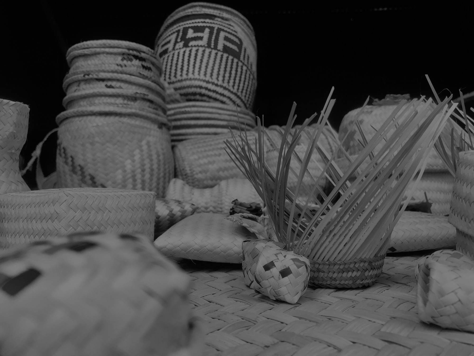 fondo-magdalena-penasco